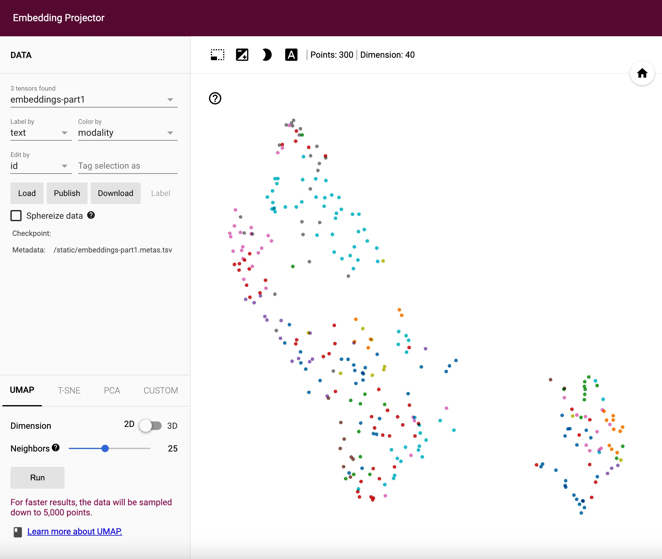 Embeddings before Training